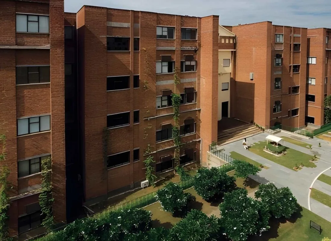 IILM University